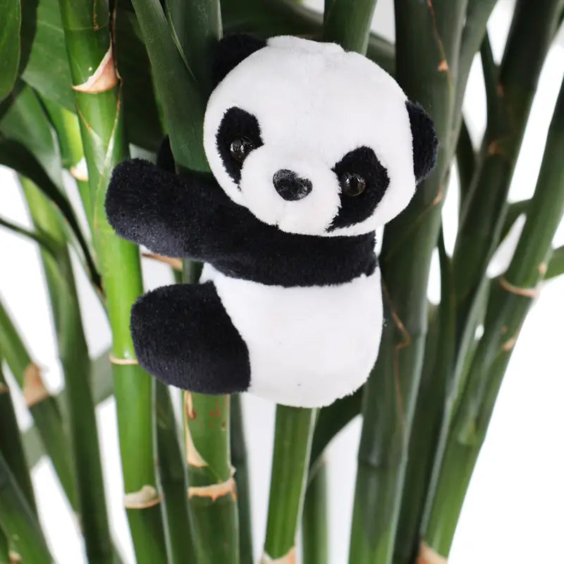 Plus Panda - Clips To Computer Screen, Plants, Frames - Super cute