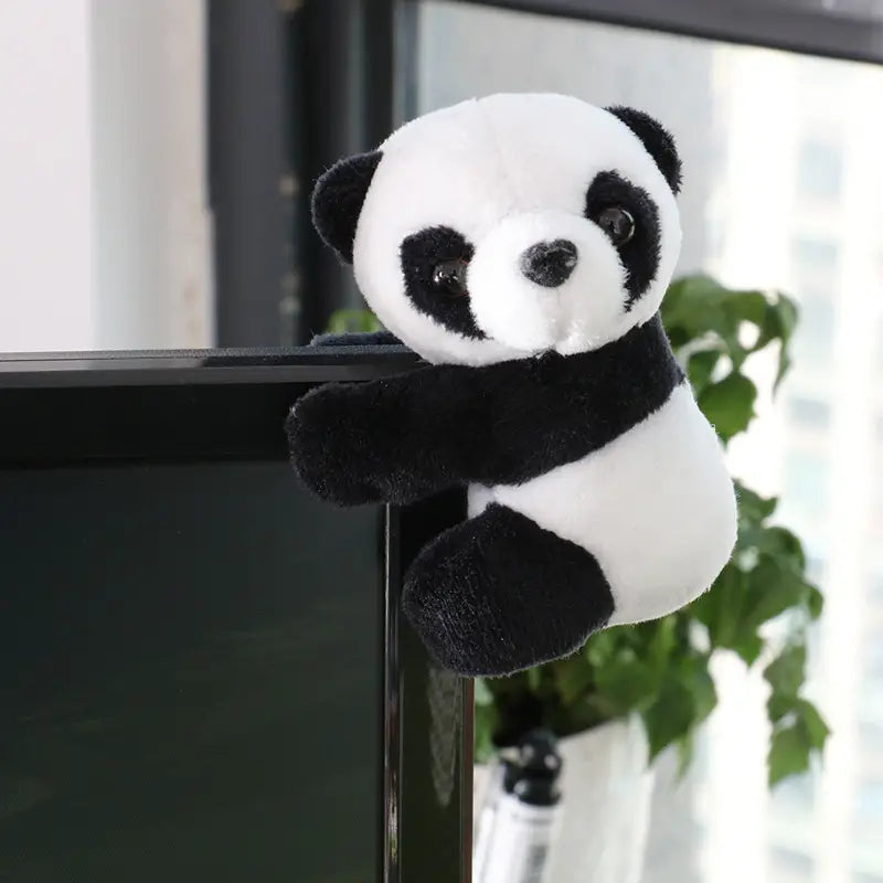 Plus Panda - Clips To Computer Screen, Plants, Frames - Super cute