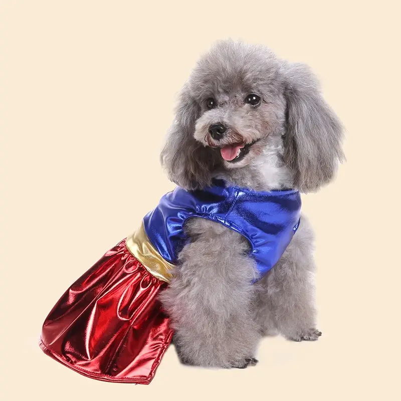 Pet Halloween Superhero Costume