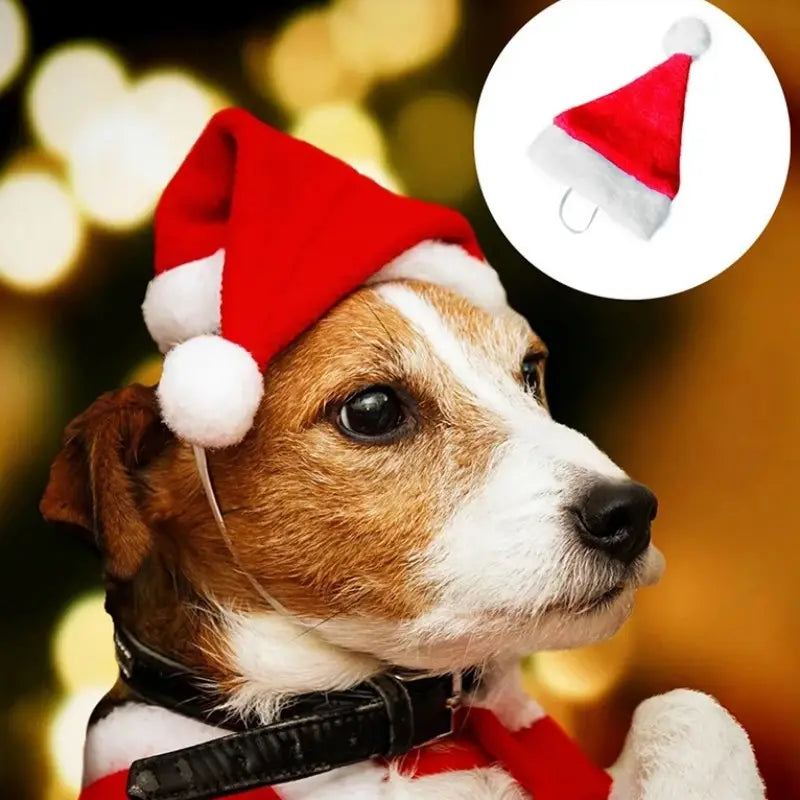 Santa Pet Hat with Under Chin Elastic Strap for Dogs and Cats