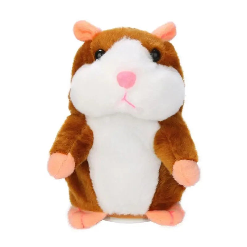 Talking and Dancing Hamster