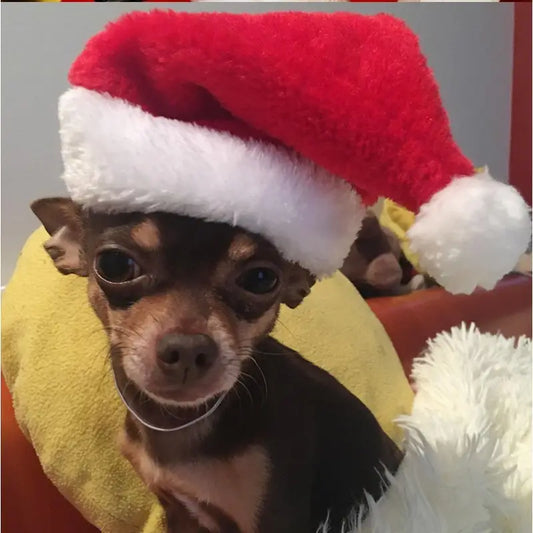 Santa Pet Hat with Under Chin Elastic Strap for Dogs and Cats