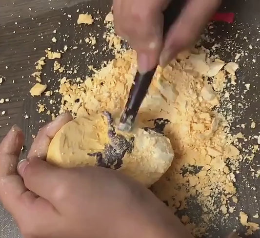 Archaeological Digging Dinosaur Egg Treasure