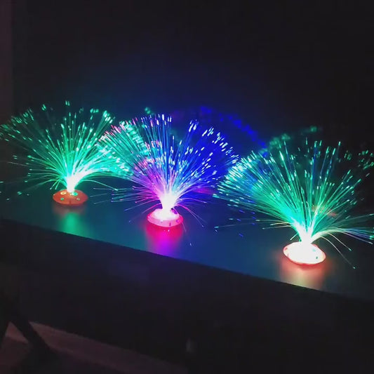 LED Colored Fiber Optic Solar Powered Light